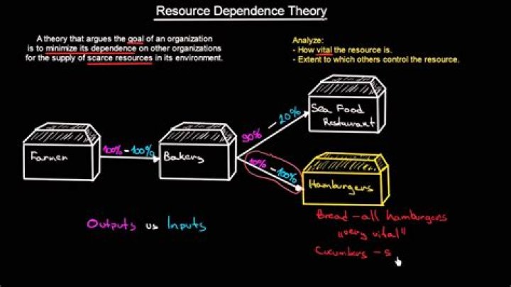 What is the focus of resource dependence theory?