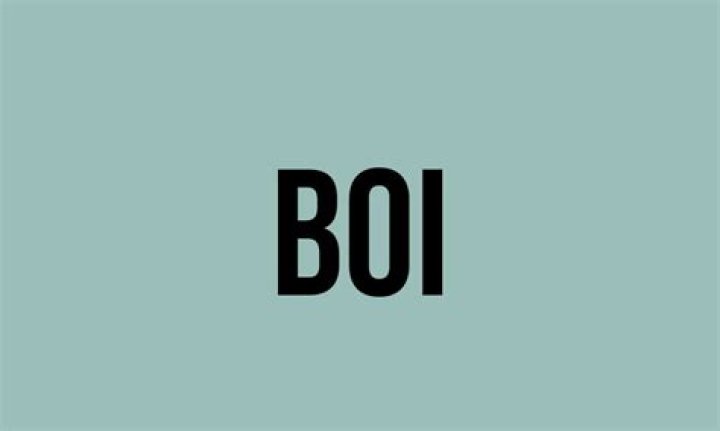 What is the full meaning of boi?