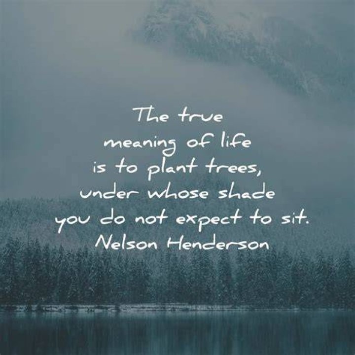 What is the full meaning of expect?