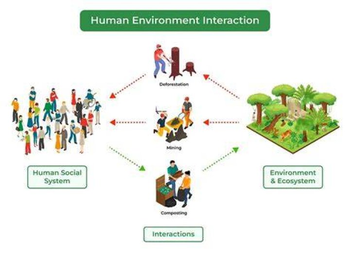 What is the human environment interaction in Miami Florida?