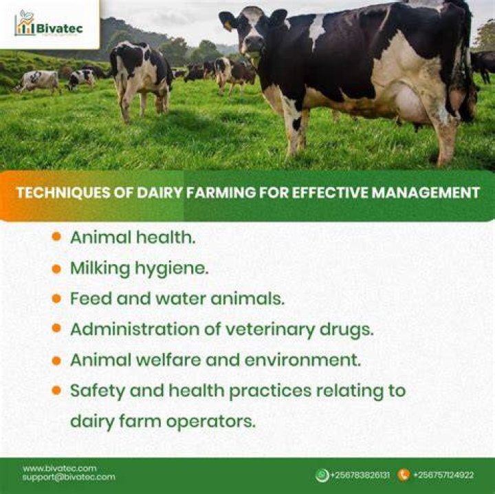 What is the importance of dairy farming Why is it mainly Practised near urban and industrial Centres of the world explain two reasons?