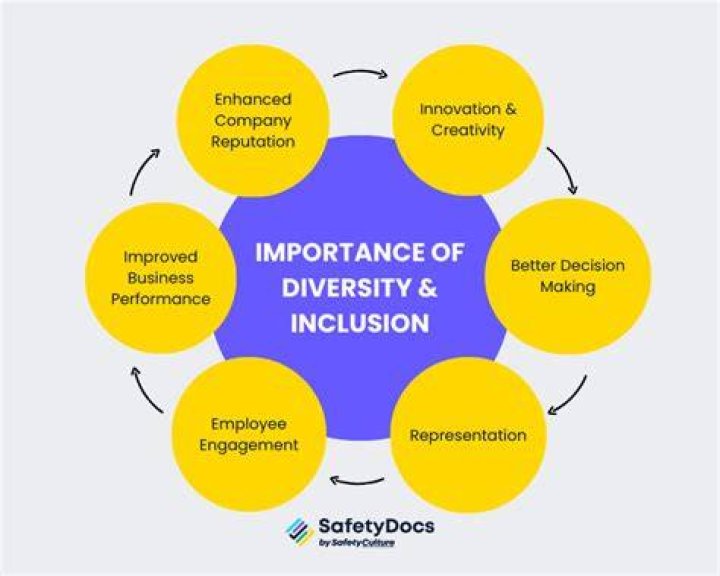 What is the importance of diversity management?