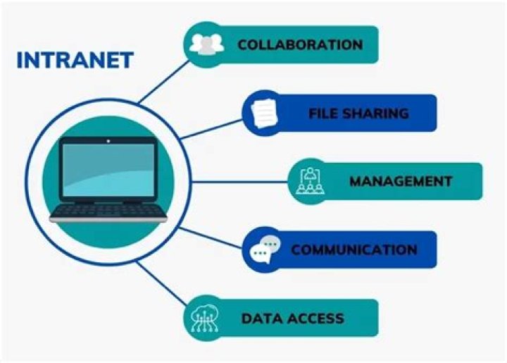 What is the intranet used for in business?