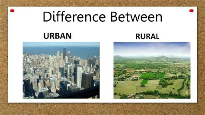 What is the main difference between rural and urban settlements?