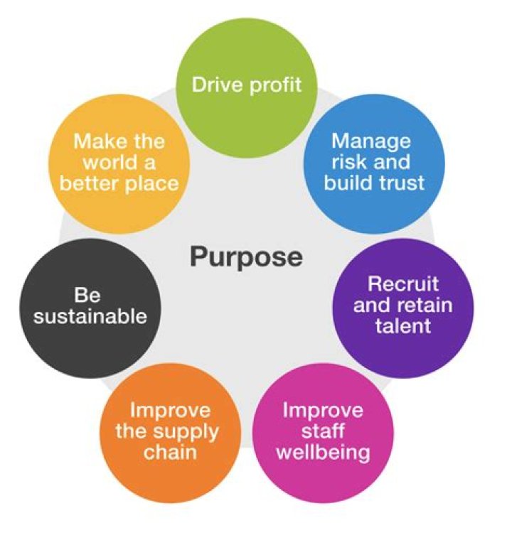 What is the main purpose of the Better Business Bureau?