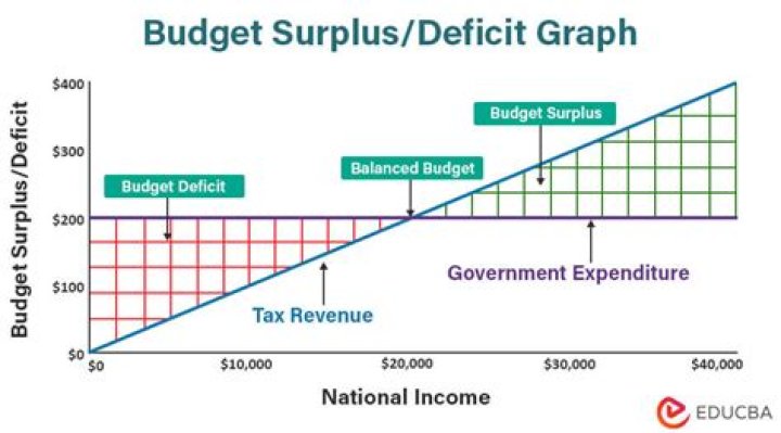 What is the main responsibility of the budget committee?