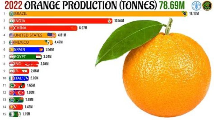 What is the market price for oranges?