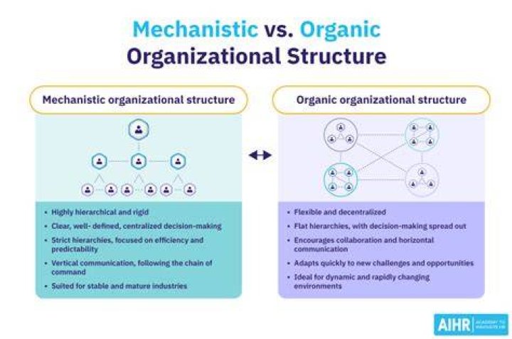 What is the meaning mechanistic?