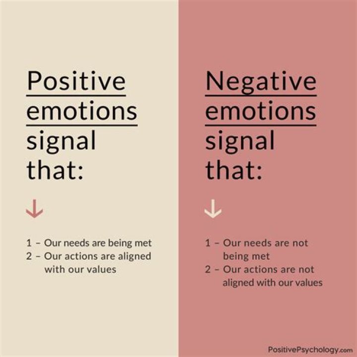 What is the meaning of positive and negative EFN?