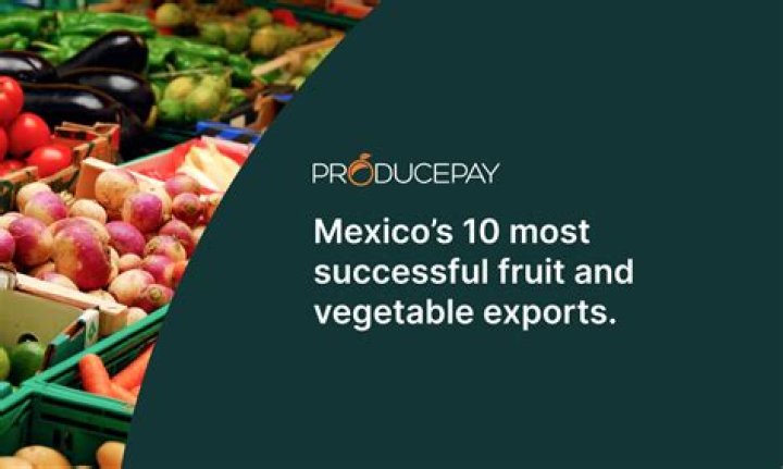 What is the most exported fruit?