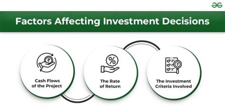 What is the most important financial ratio to consider while making an investment decision Why?
