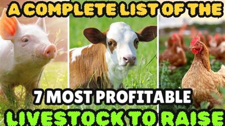 What is the most profitable animal to breed?