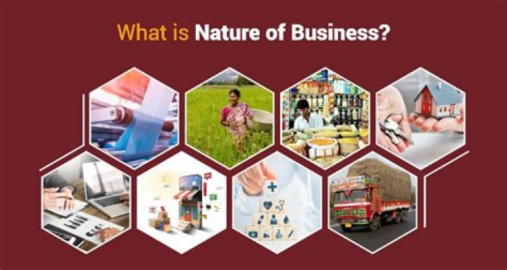What is the nature of business of pharmacy?