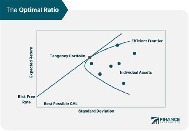 What is the optimal level of capital?