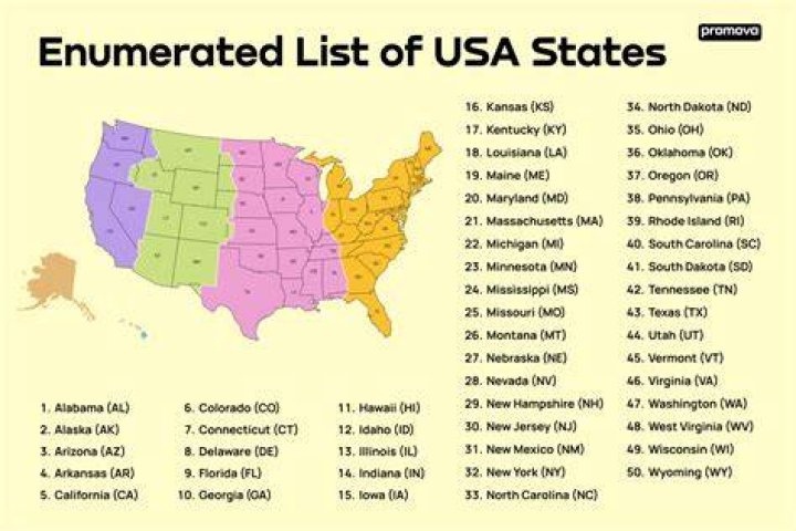 What is the primary standard-setting body in the United States?