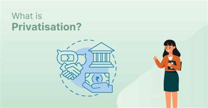 What is the process of Privatisation?