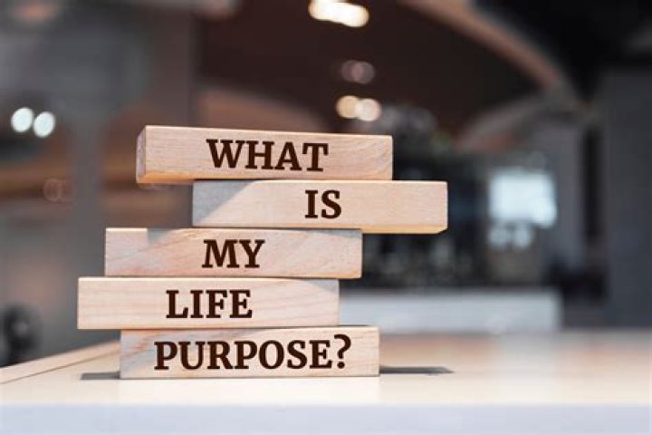 What is the purpose of a company description?