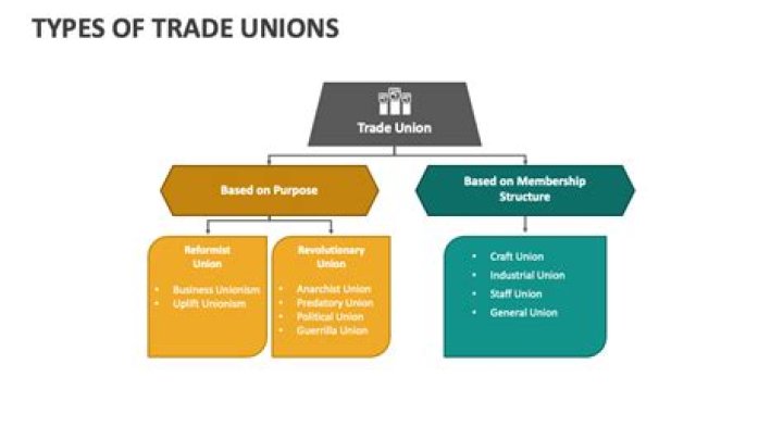 What is the purpose of a trade union?