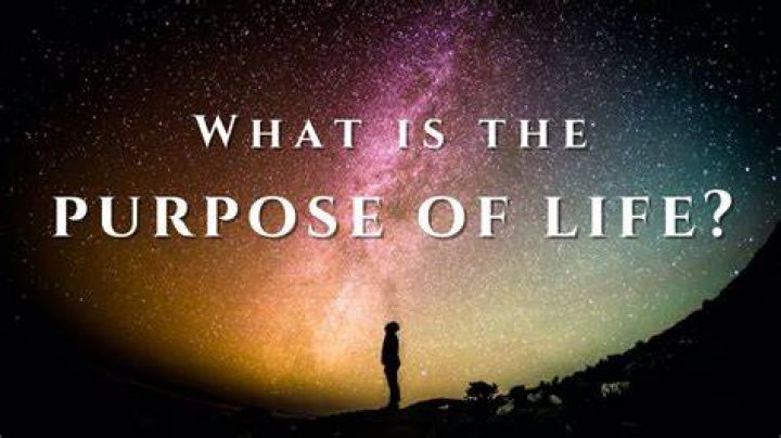 What is the purpose of a UAR?