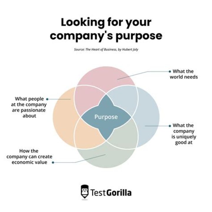 What is the purpose of Boots Company?