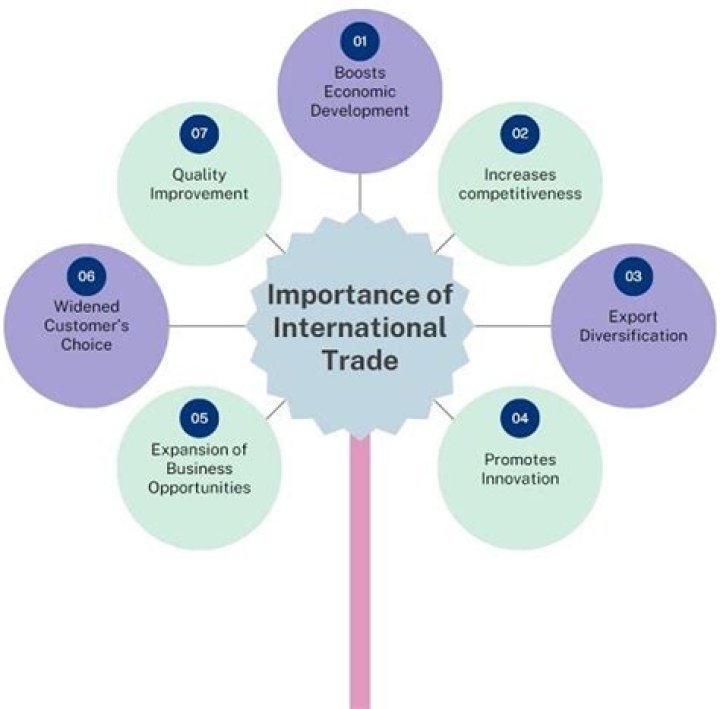 What is the purpose of international trade?
