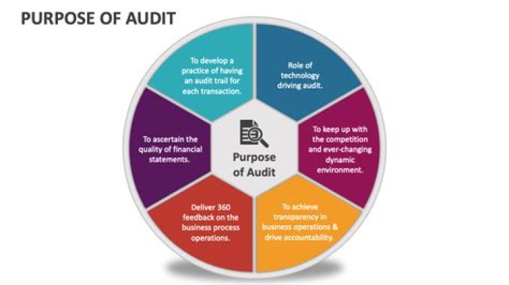 What is the purpose of special audit?