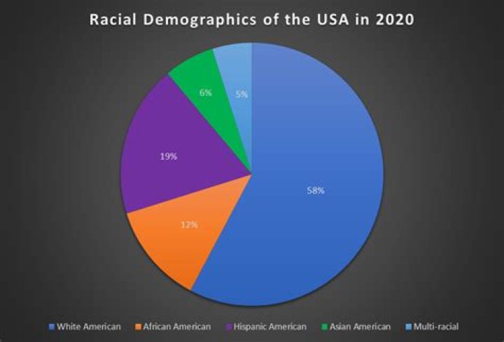 What is the racial breakdown of the United States 2020?
