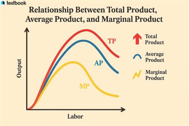 What is the relationship of marginal product and average product?