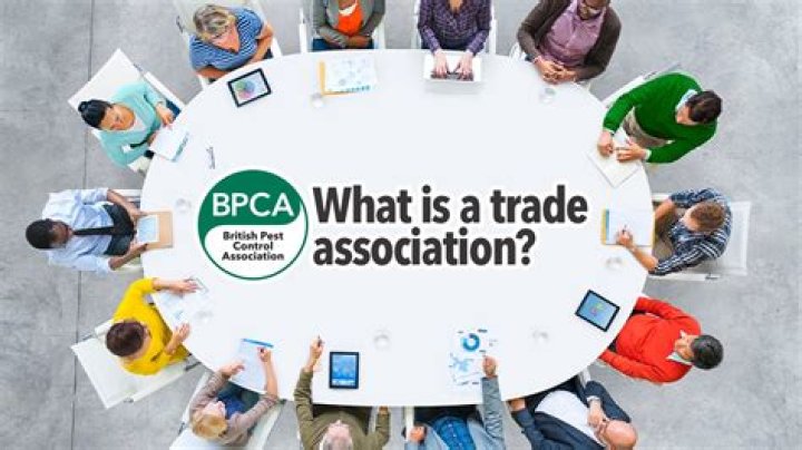 What is the role of a trade association?