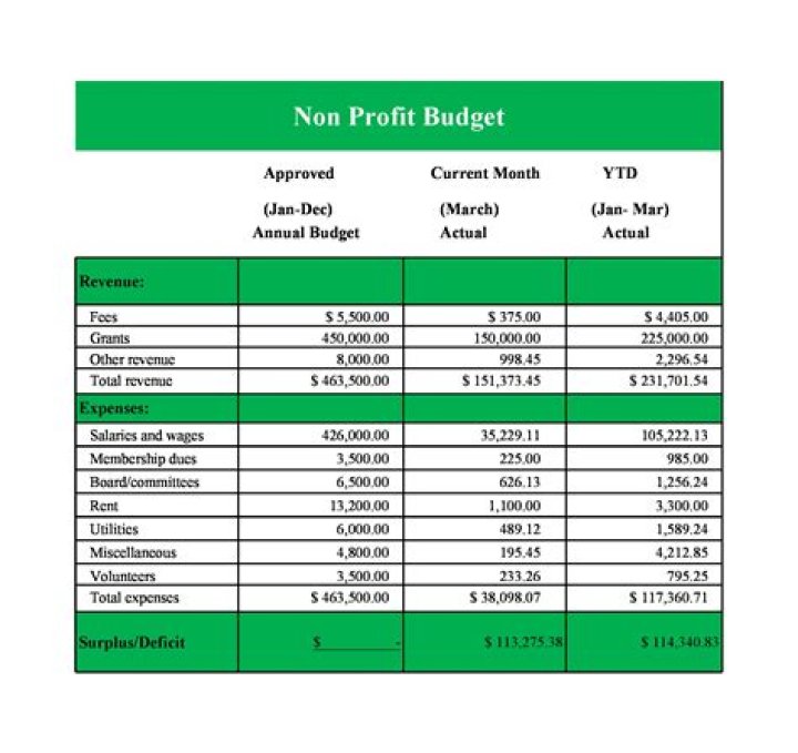 What is the role of budgets and performance reports?