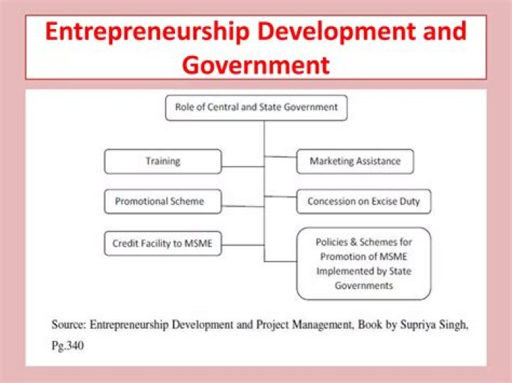 What is the role of government in entrepreneurship development in Nigeria?