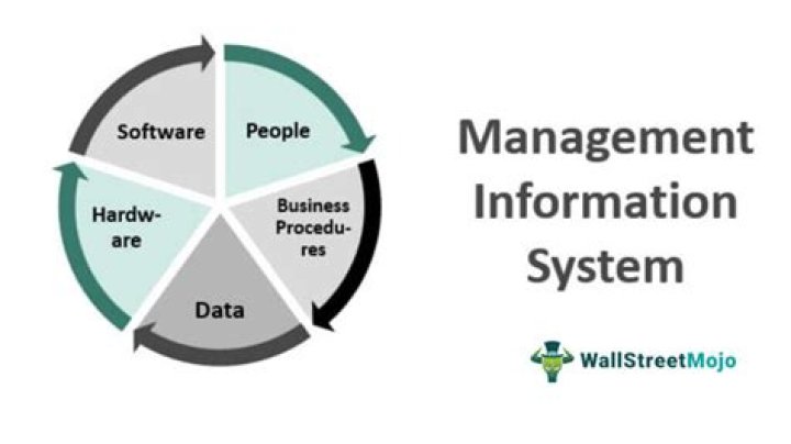 What is the role of information system in business today?