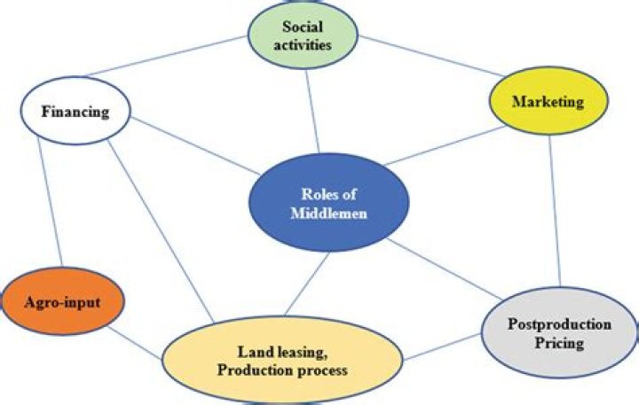 What is the role of middlemen in agricultural marketing?