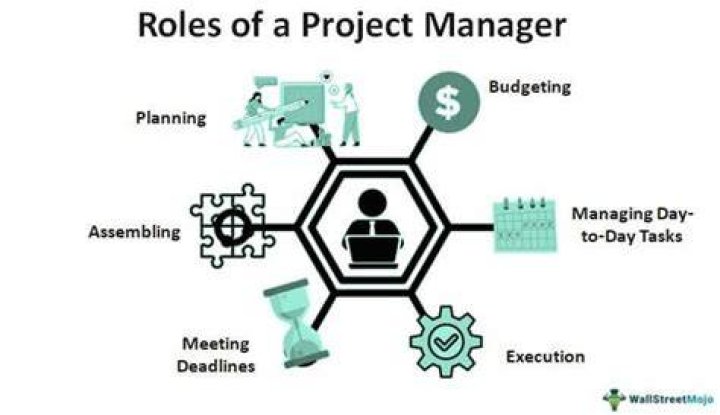 What is the role of project manager in a project?