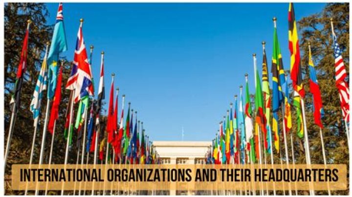 What is the role of regional international organizations?