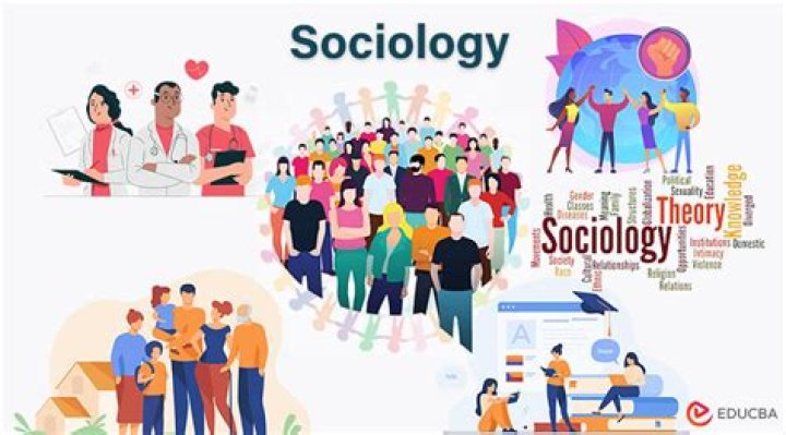What is the role of sociology in the world?