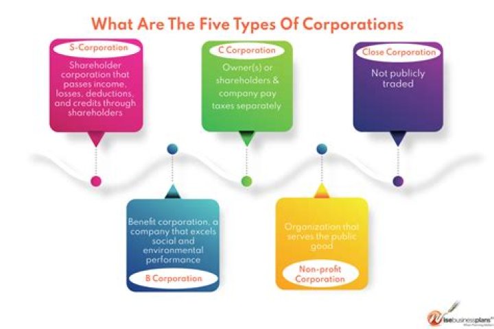 What is the standard type of corporation?