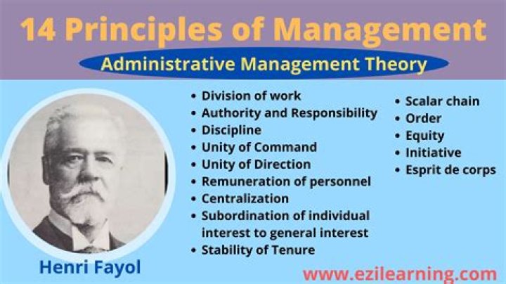 What is theory Z in principles of management?