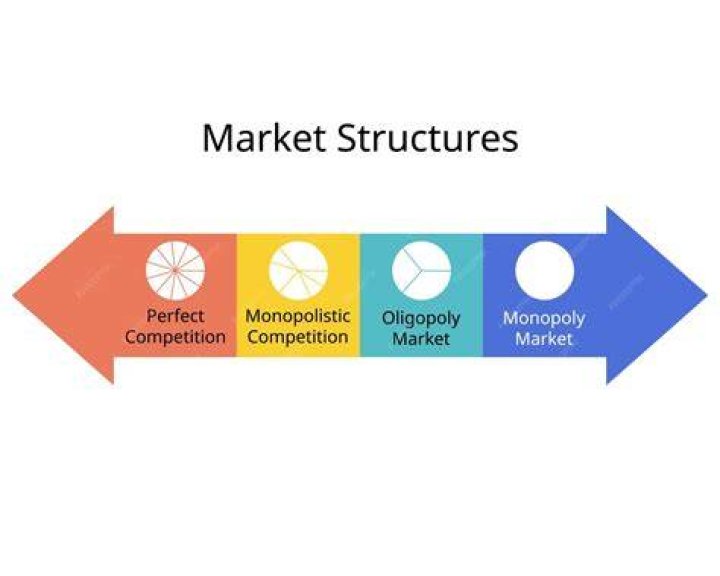 What market structure lies between monopoly and perfect competition?