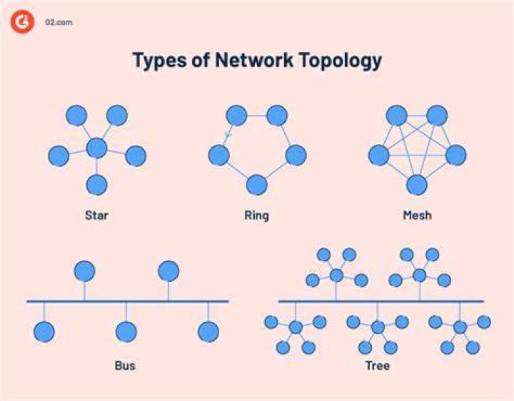 What network type is most suitable for the business?