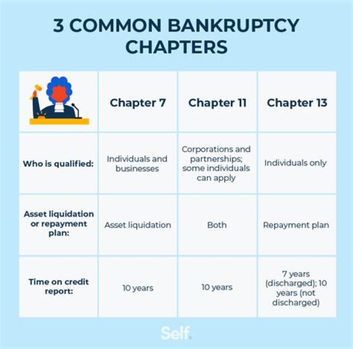 What percentage of Chapter 11 bankruptcies are successful?