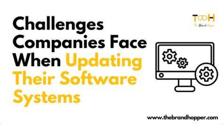 What problems do software companies face?