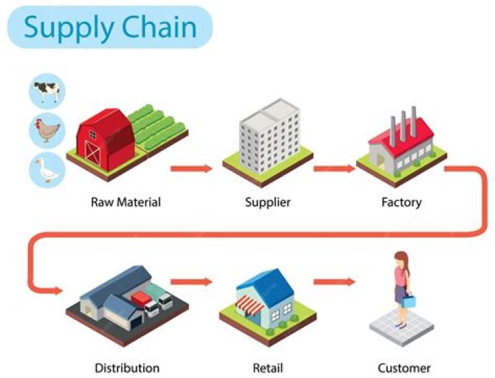 What supply chain processes can ups support for their clients?