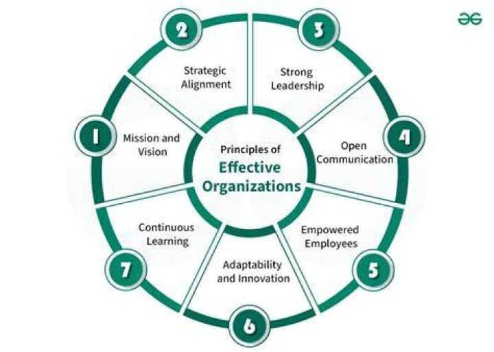 What techniques contribute to good organization?