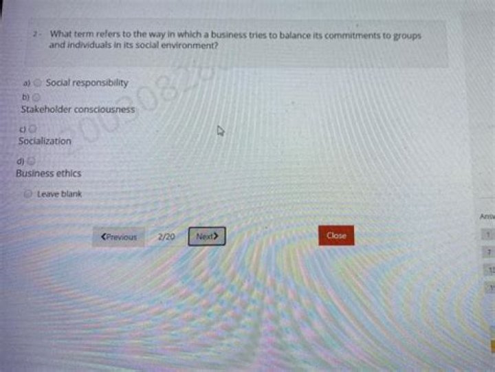What term refers to the way in which a business tries to balance its commitments to groups and individuals in its social environment?