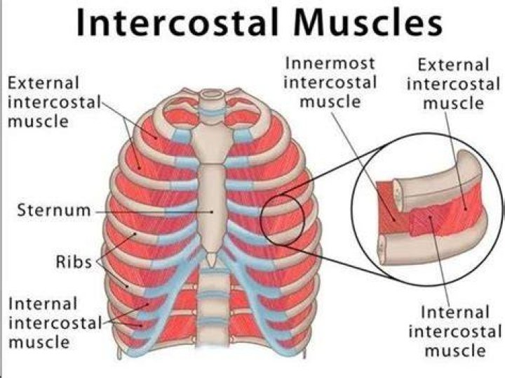 What the difference between internal and external growth?
