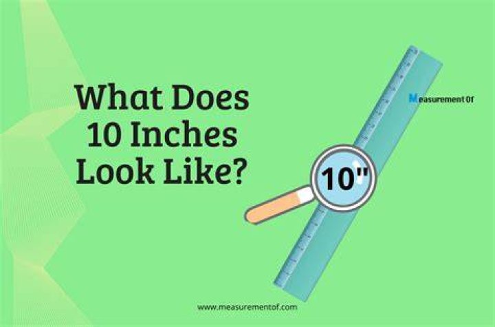 What things are 10 inches tall?