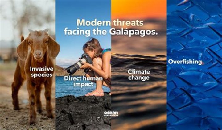 What threats do National Parks face?
