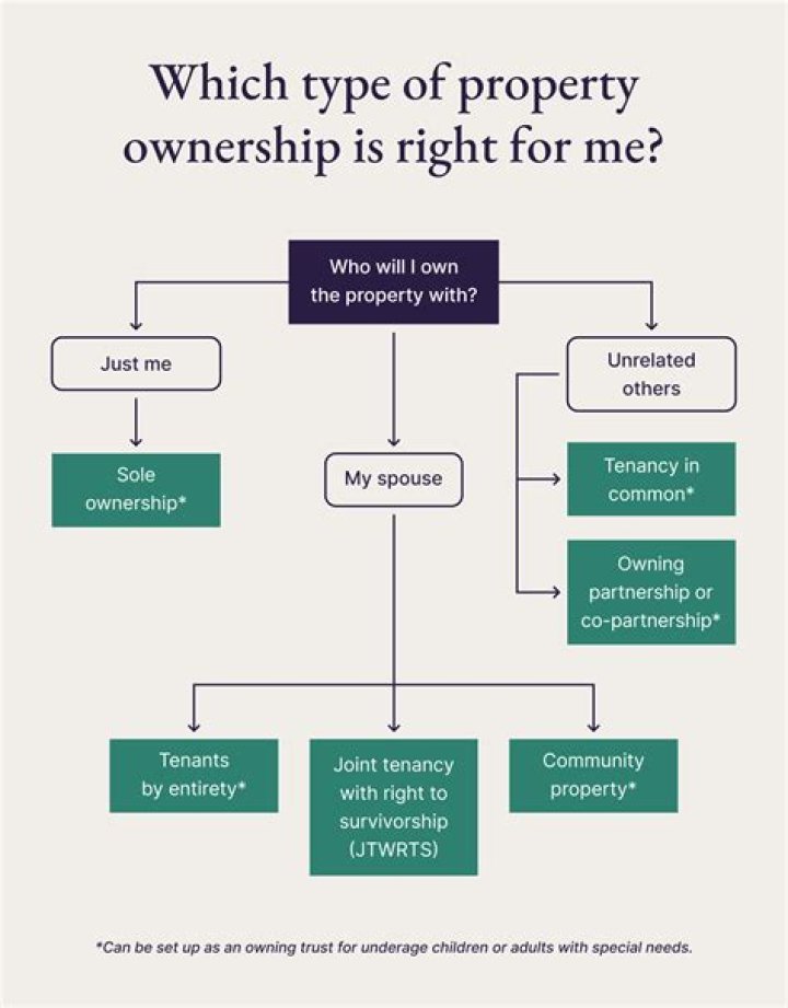 What type of ownership is new look?