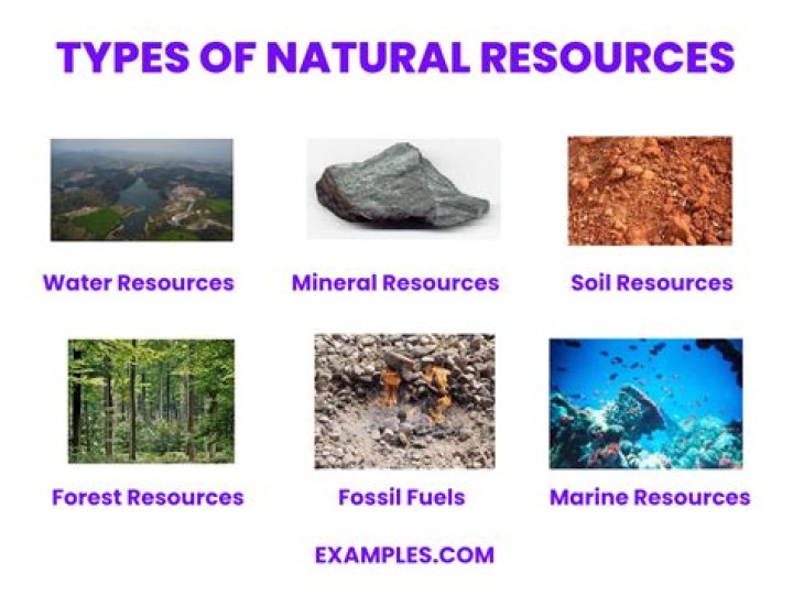 What types of resources are needed to produce high quality and attractive documents?
